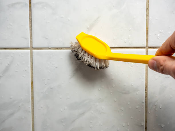 Best Local Mold Removal Service  in Creston, IA